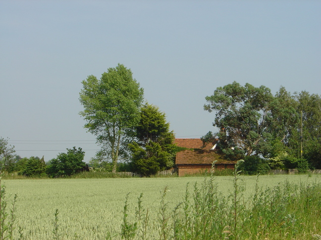 Farm